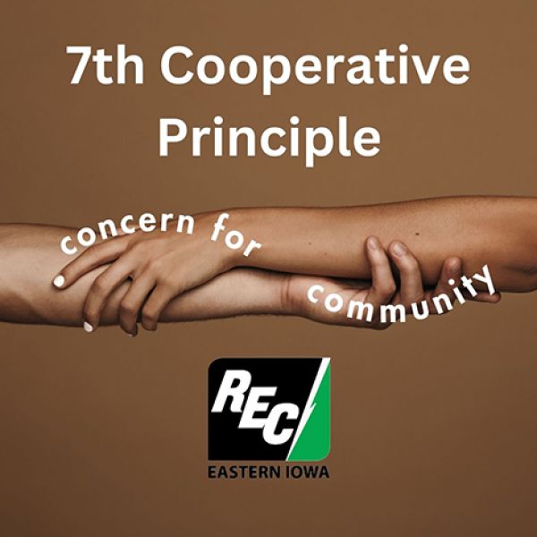 concern_for_600_600_80_s_c1