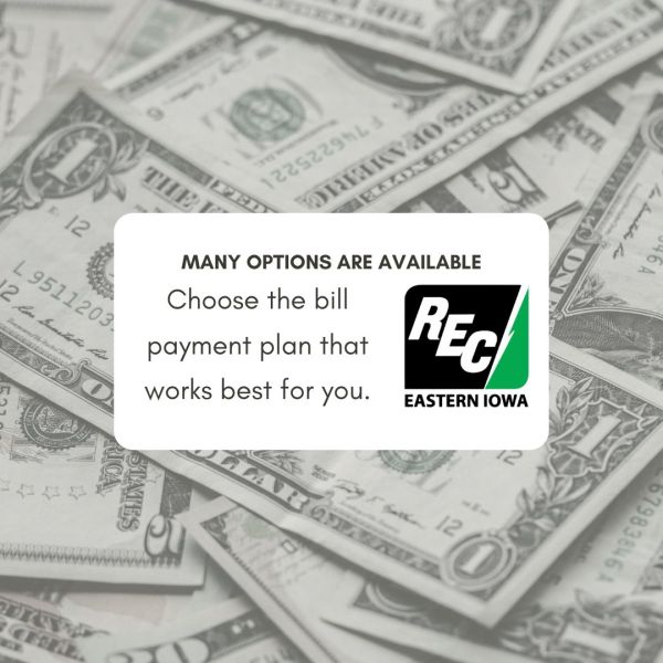 many_options_are_available_600_600_80_s_c1